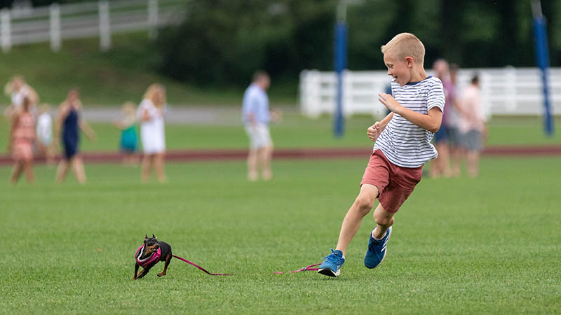 2019-06-29 Farmington Polo vs New York – 0122