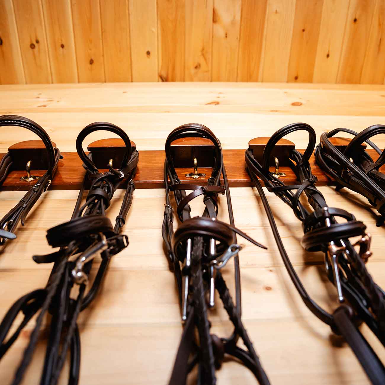 Equestrian Farmington Polo Club