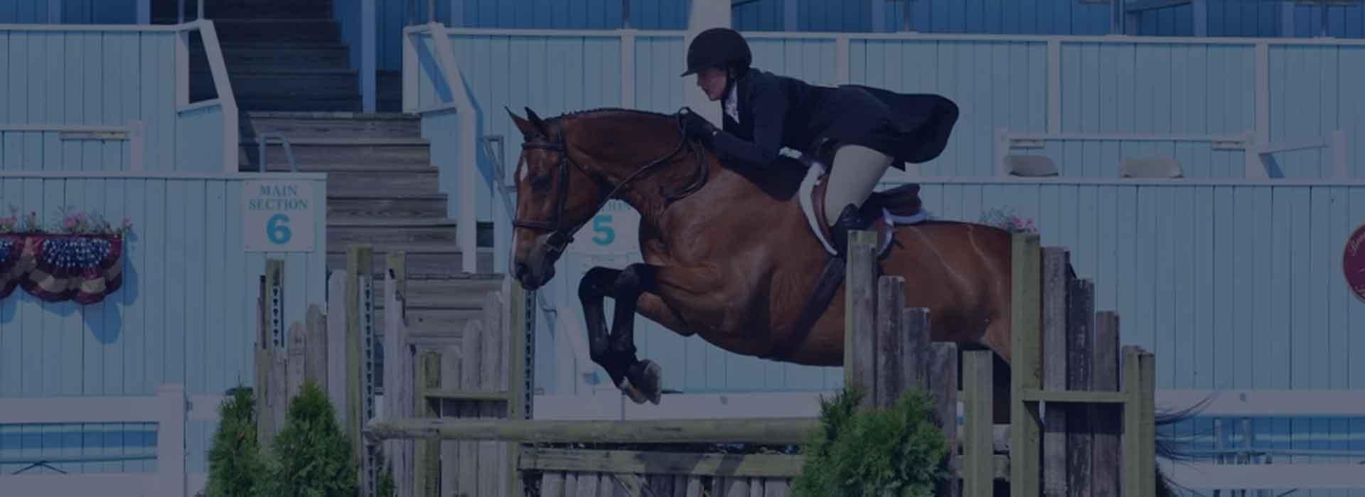 Equestrian Farmington Polo Club