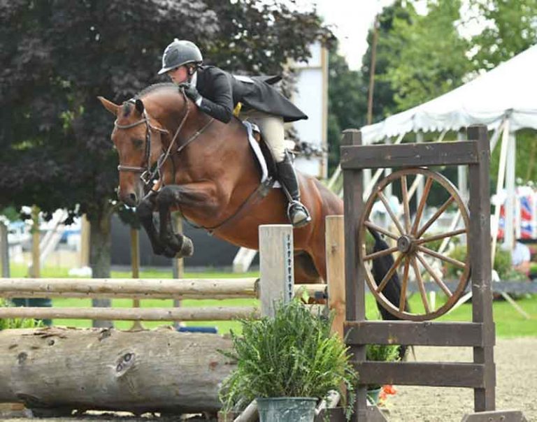 Equestrian Farmington Polo Club