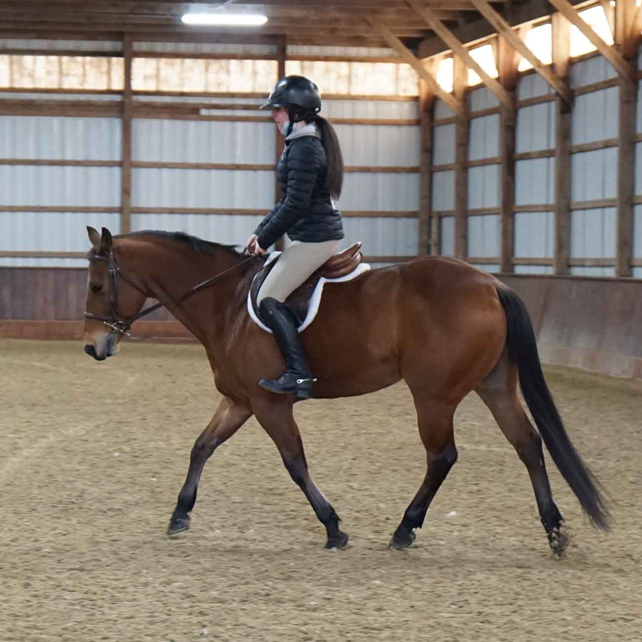 Equestrian Farmington Polo Club